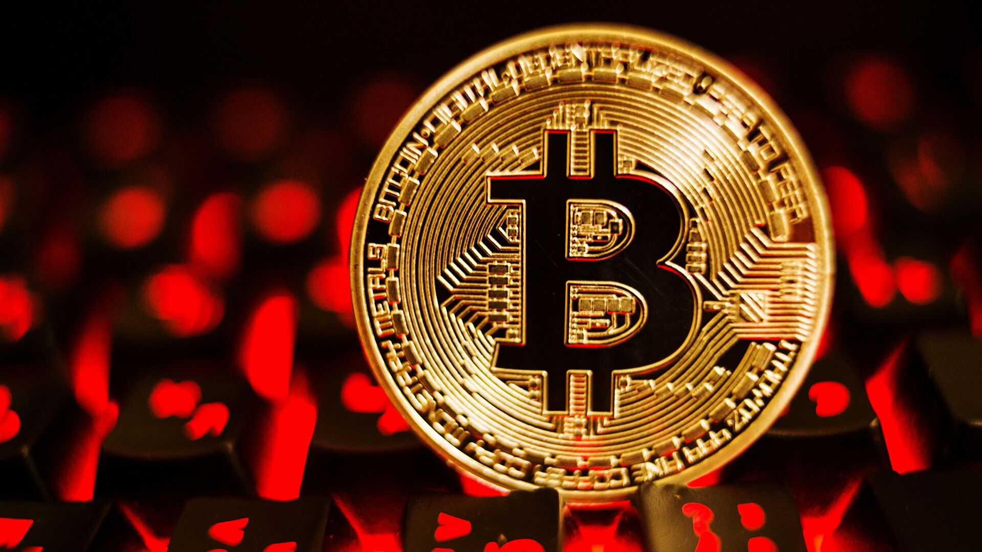 стоимость bitcoin