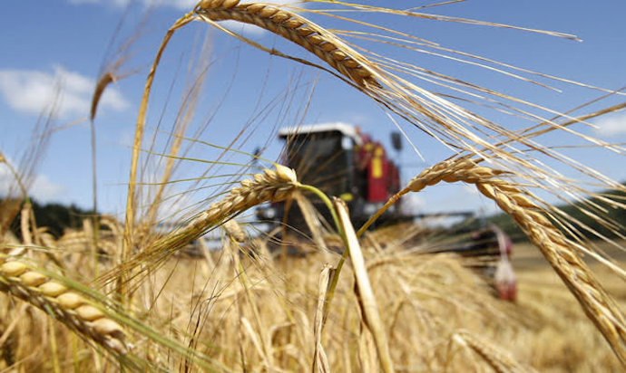 Фьючерсы на пшеницу на Чикагской бирже выросли на 5% после атак России на инфраструктурные объекты Украины, сообщает Bloomberg.